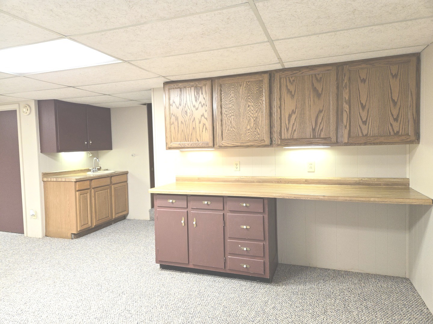 Basement Family Room