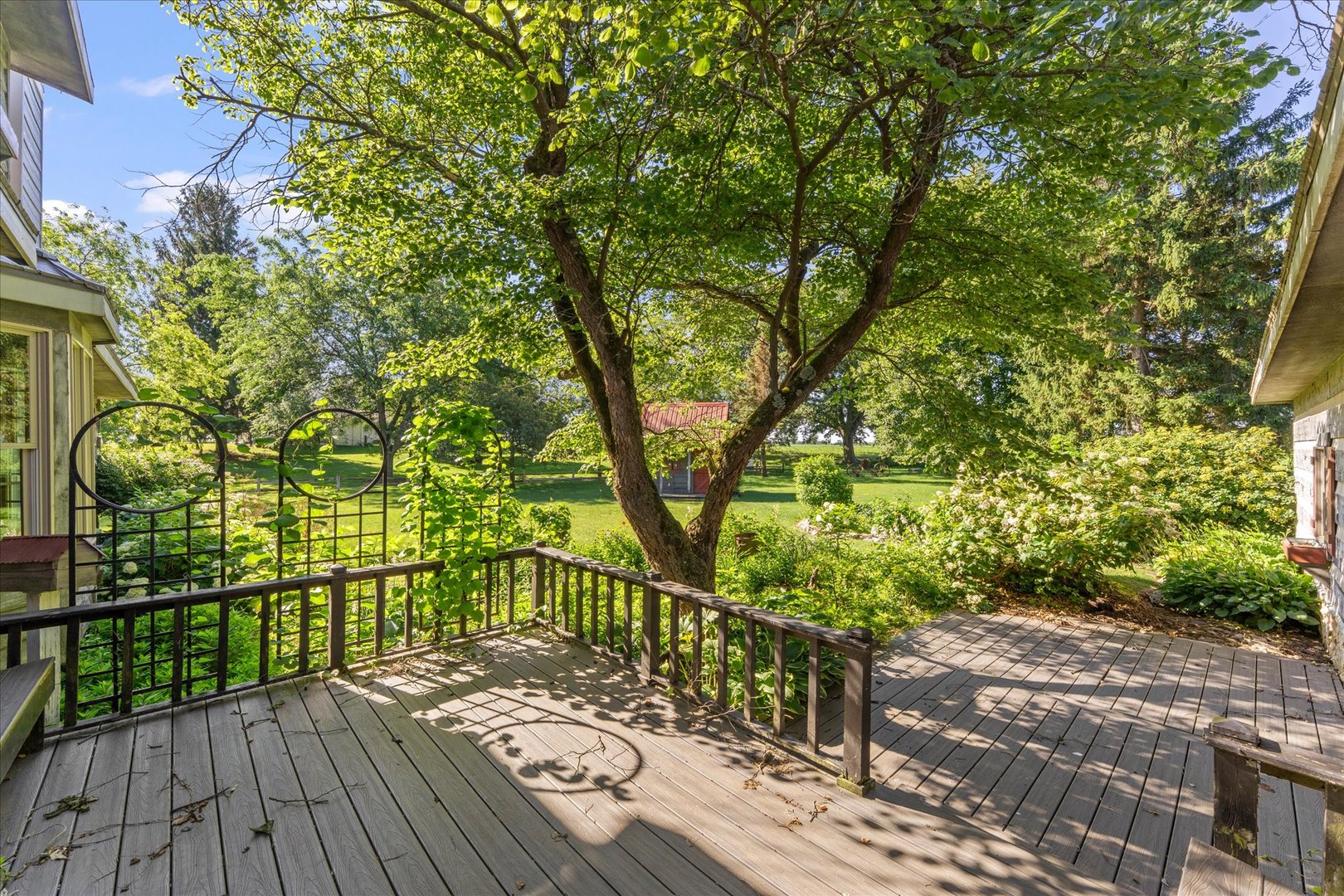 Property photo 46