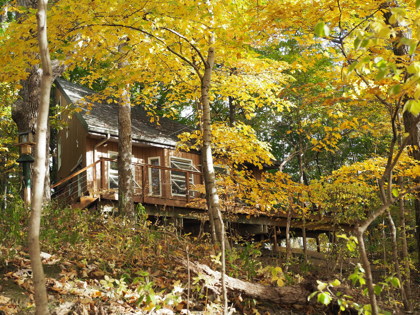 Property photo 35
