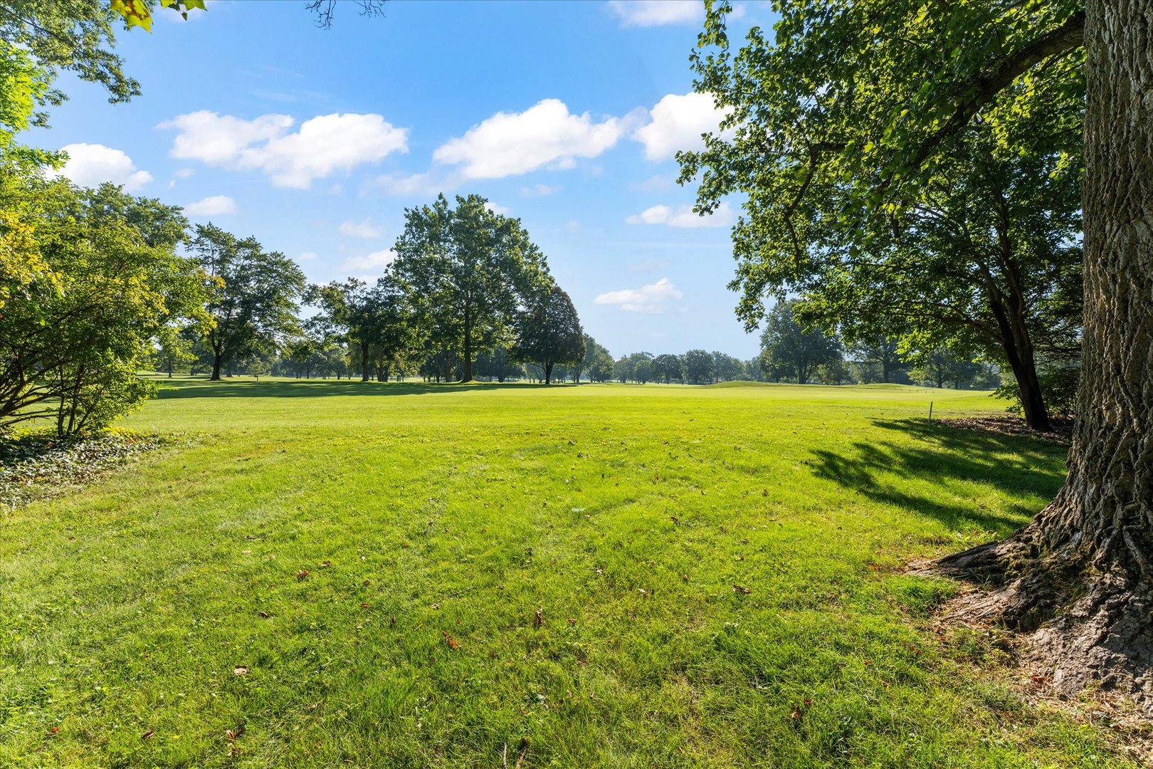 Property photo 54