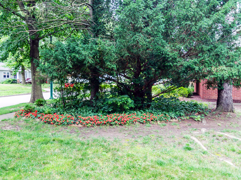 Property photo 86