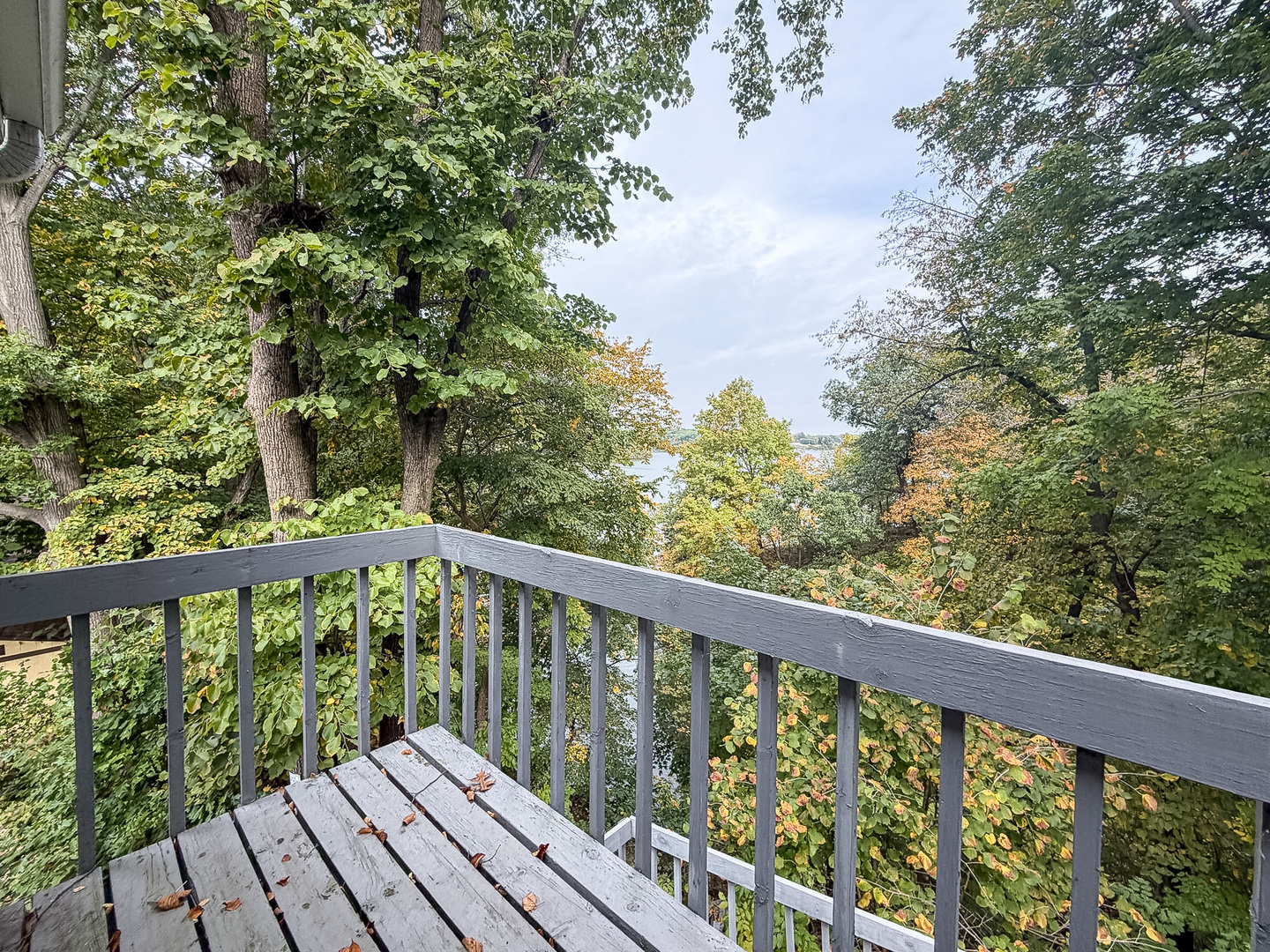Property photo 63