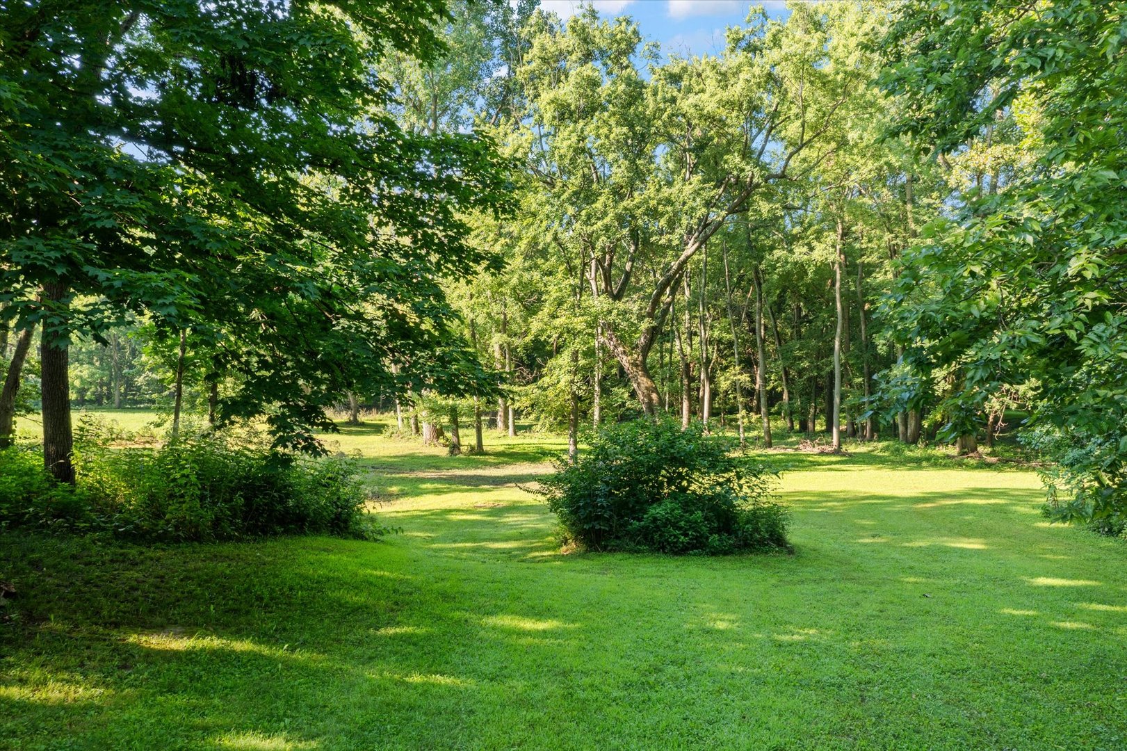 Property photo 46