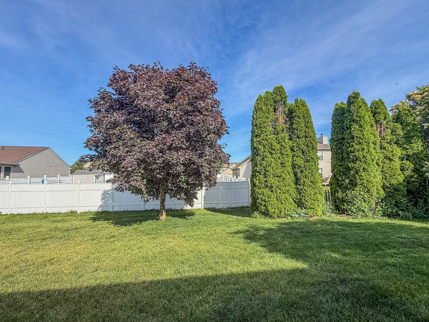 Property photo 44