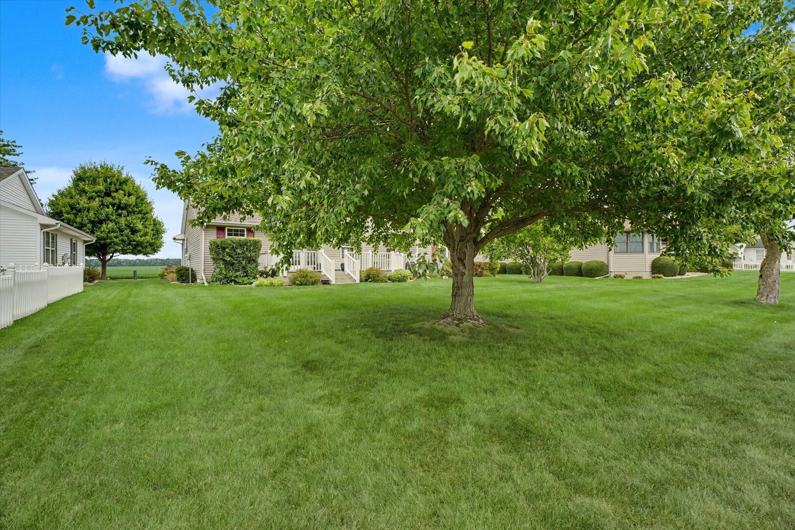 Property photo 45