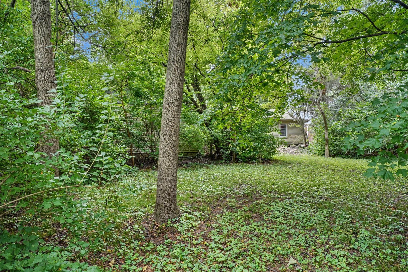Property photo 43