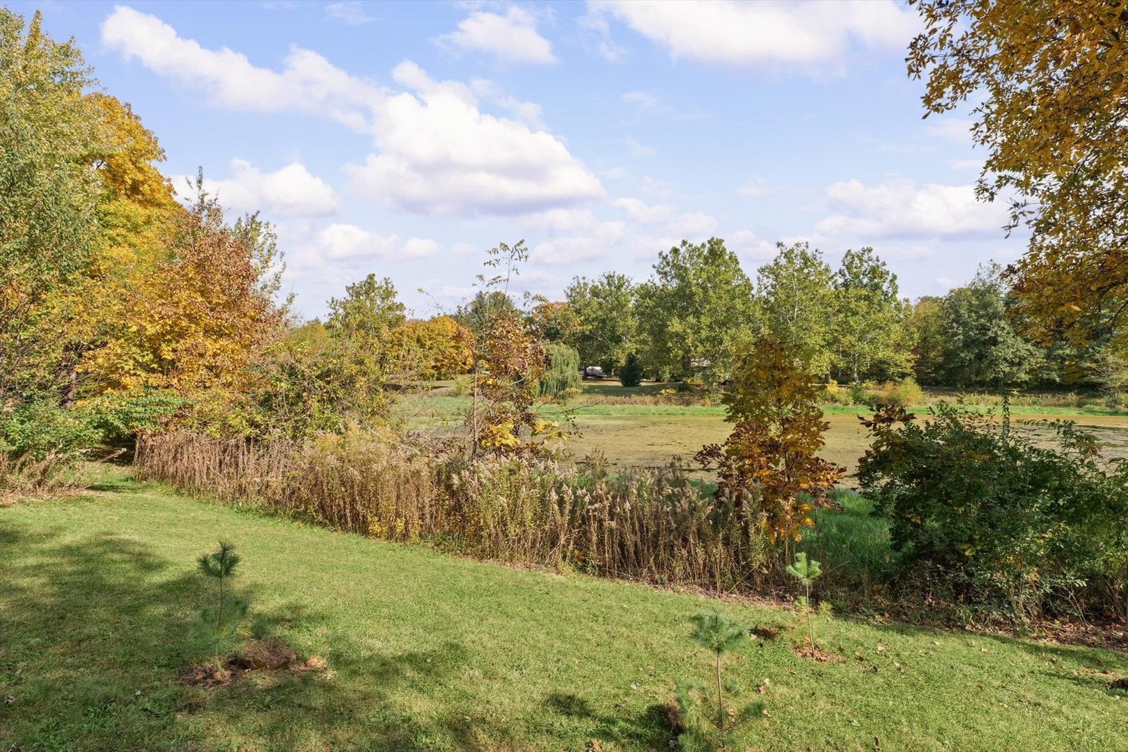 Property photo 42