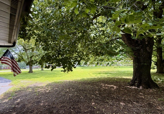 Property photo 44