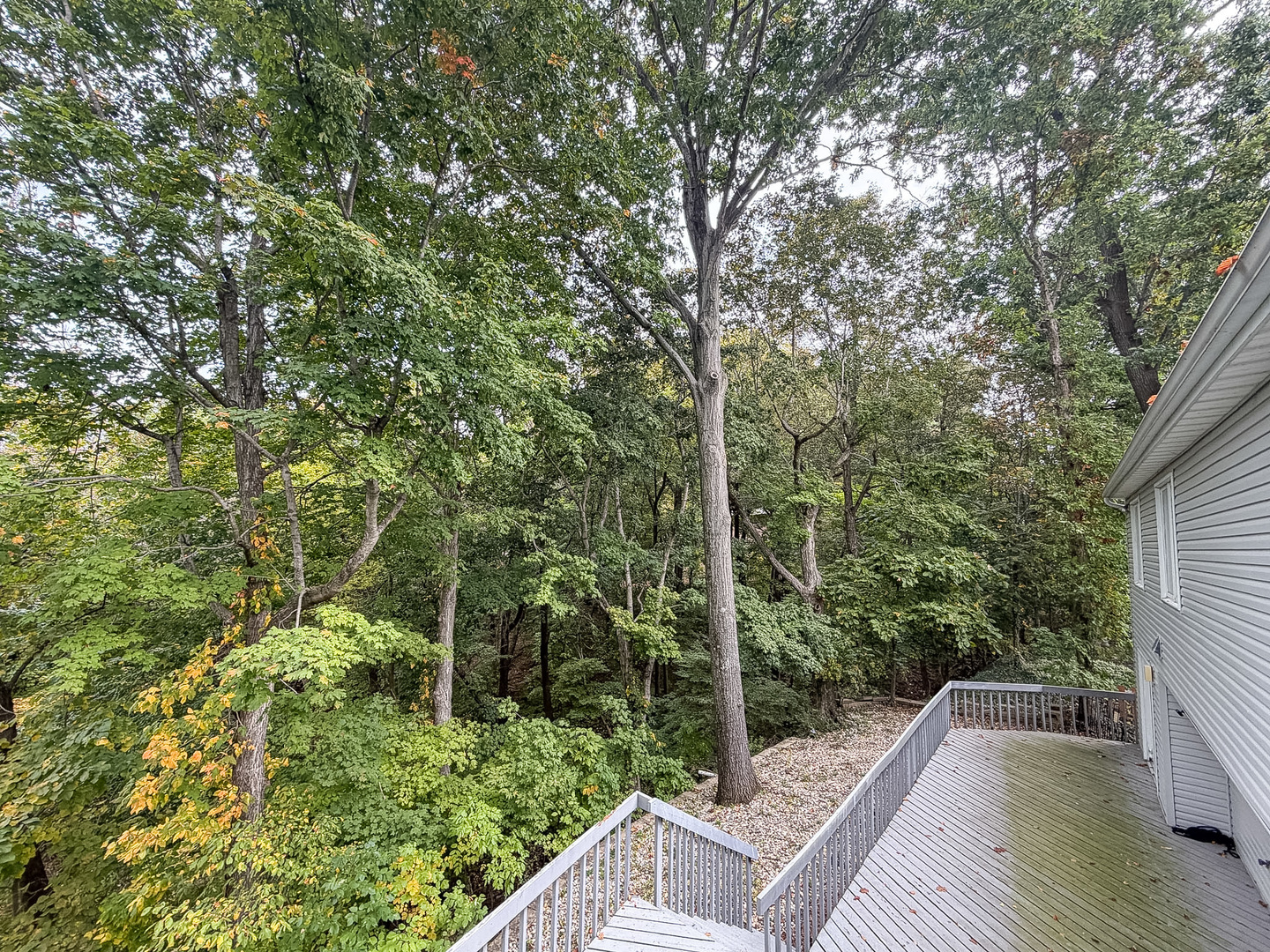 Property photo 65