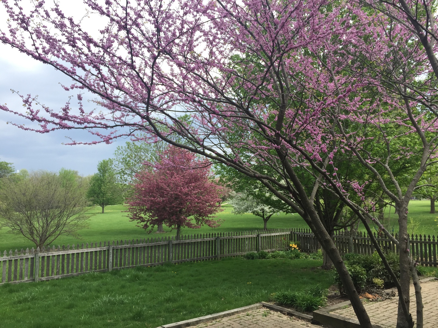 Property photo 47