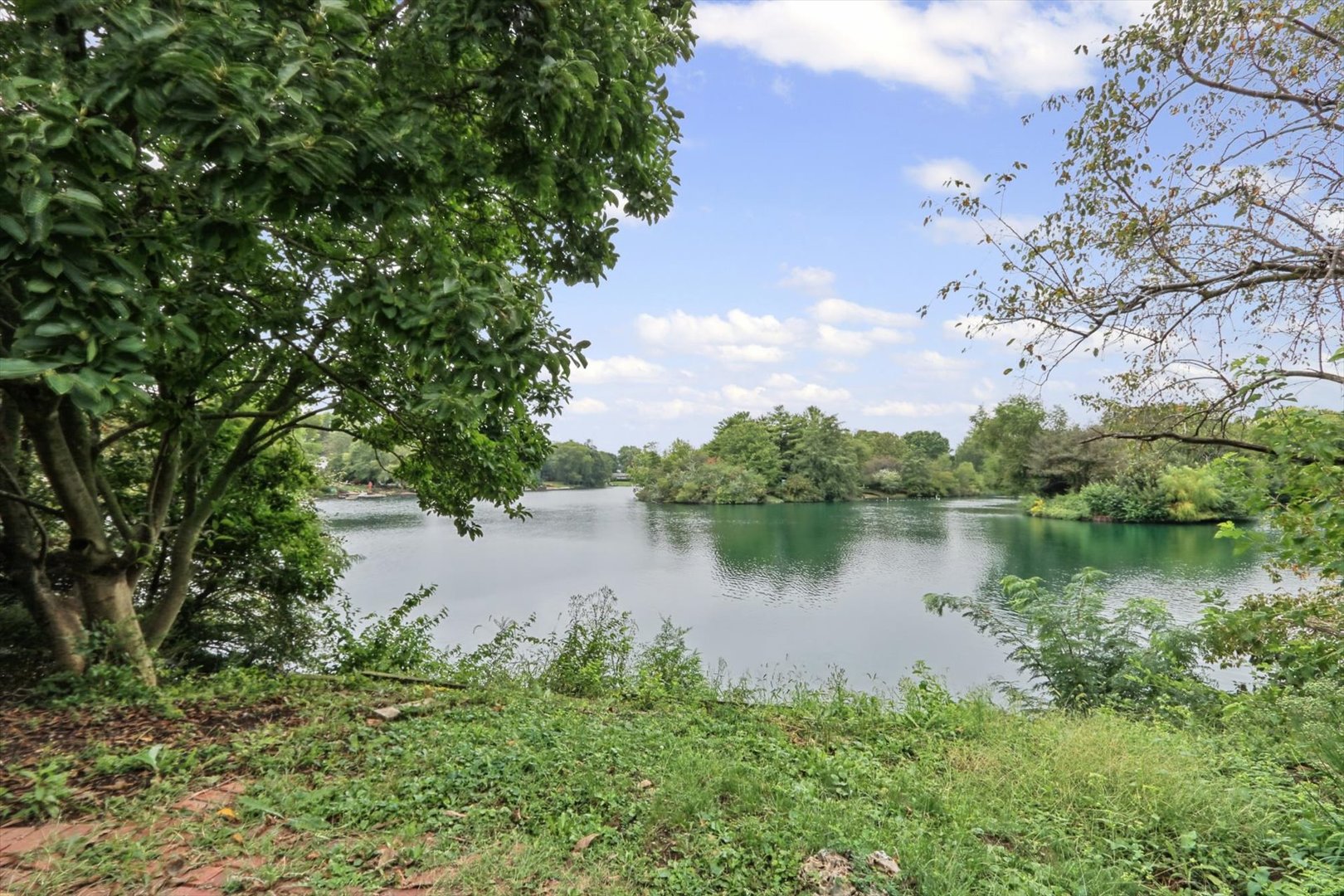 Property photo 37