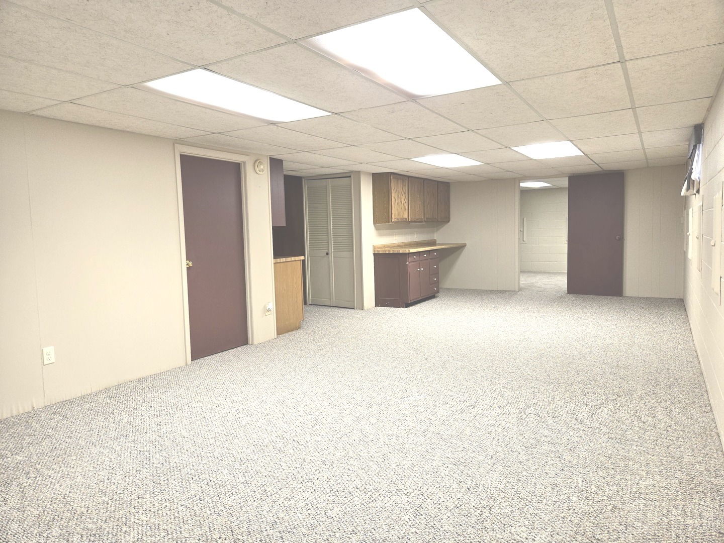 Basement Family Room