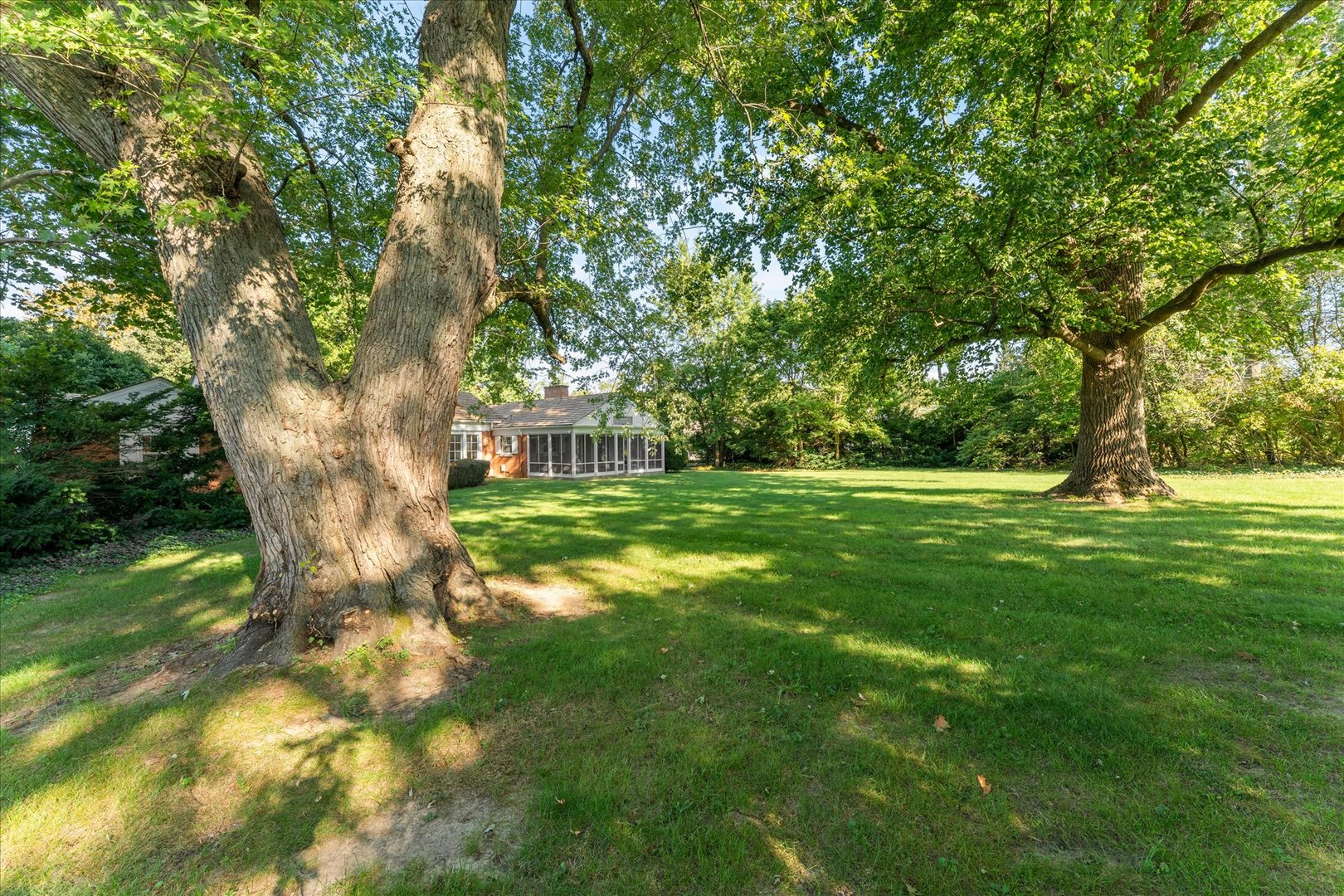 Property photo 49