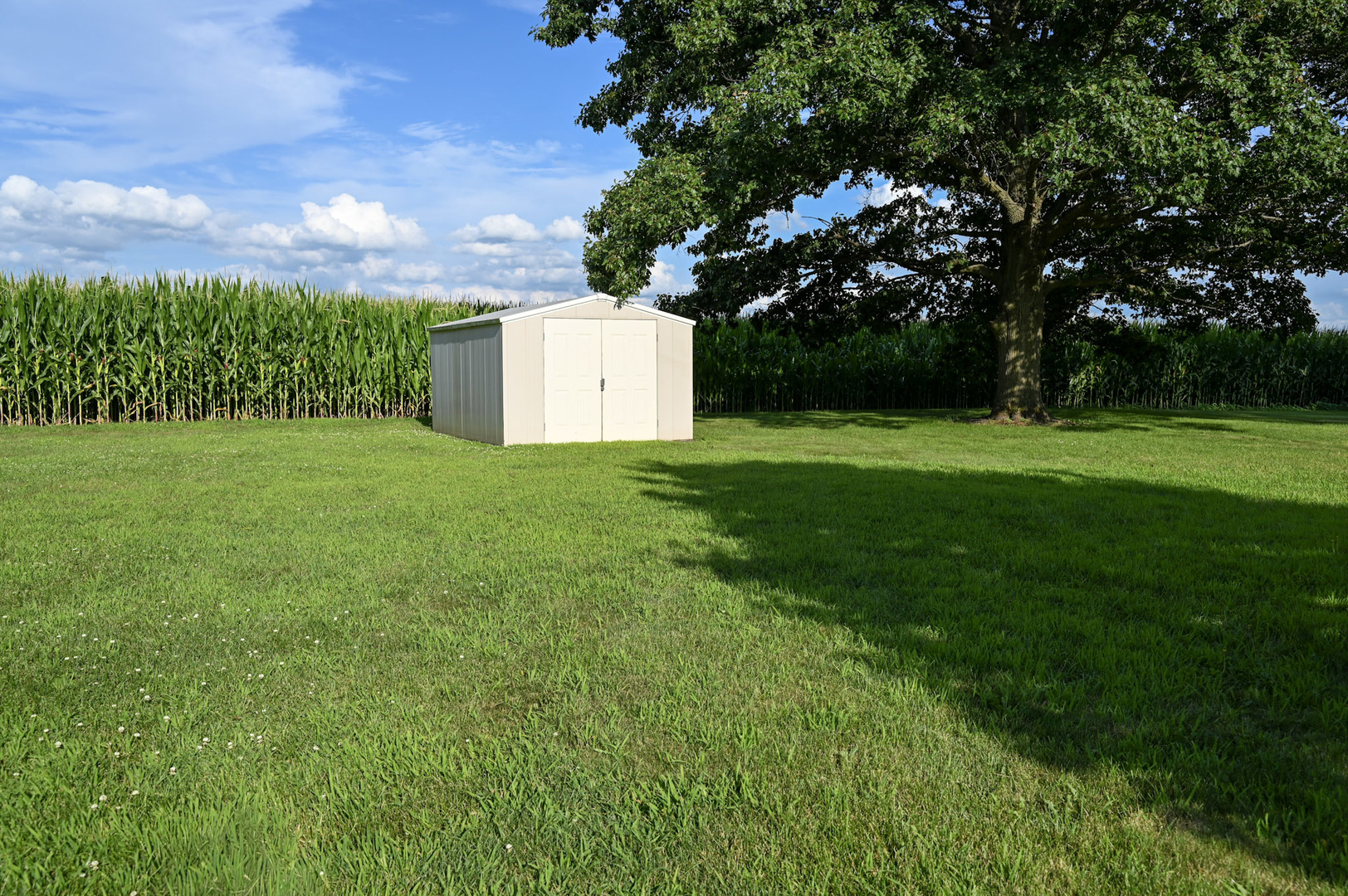 Property photo 67