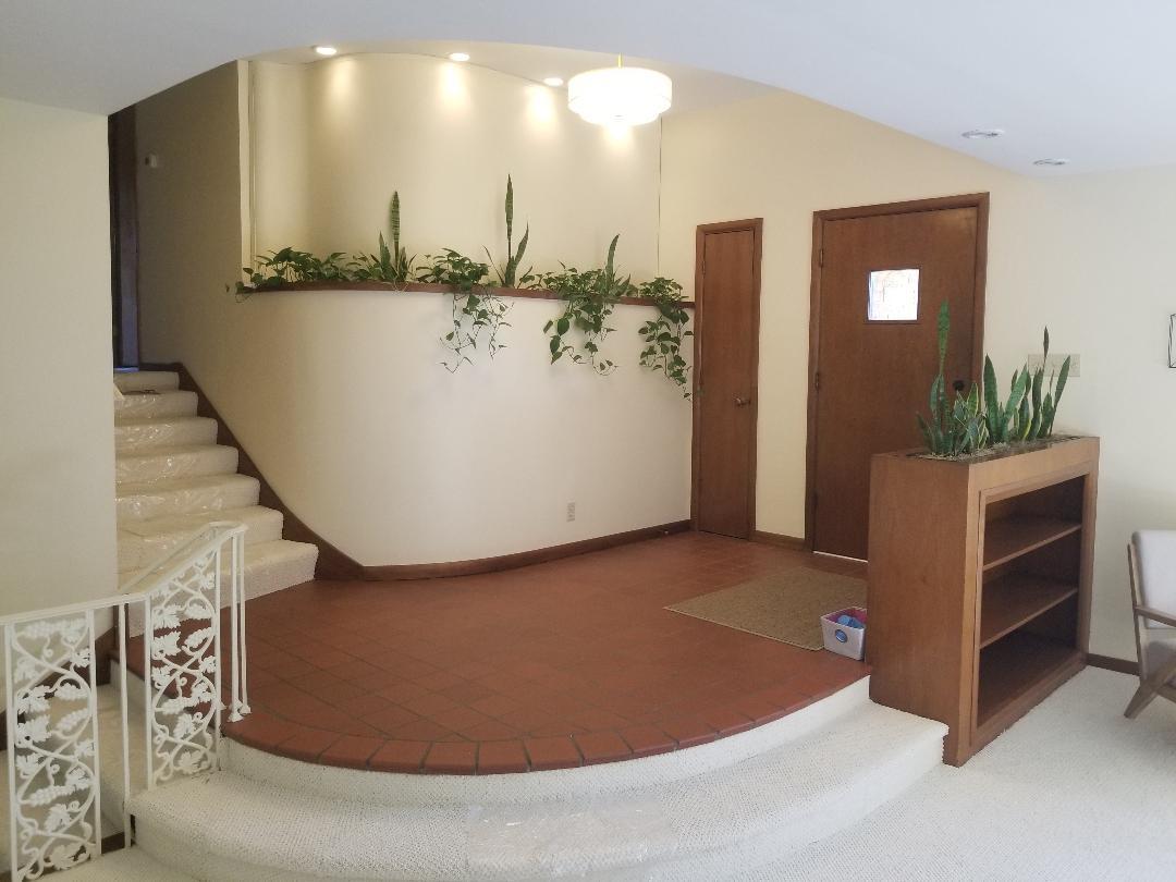 Entry - the curved wall above the plants can be re