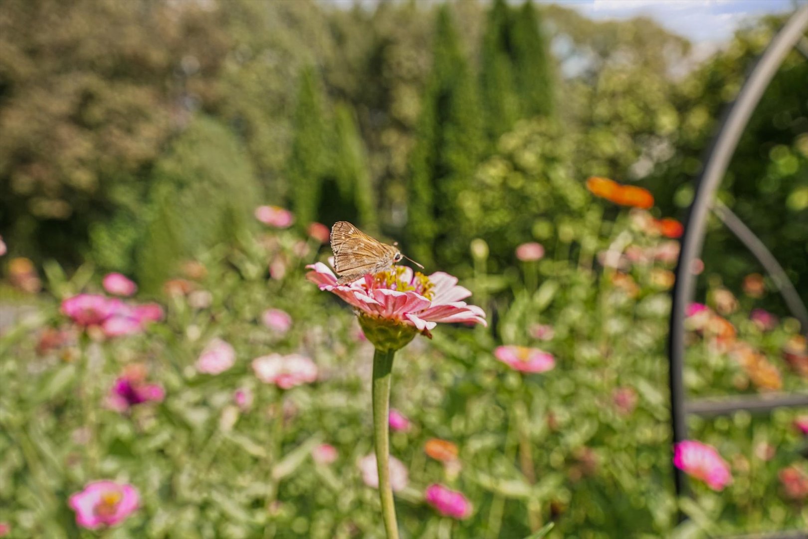 Property photo 85