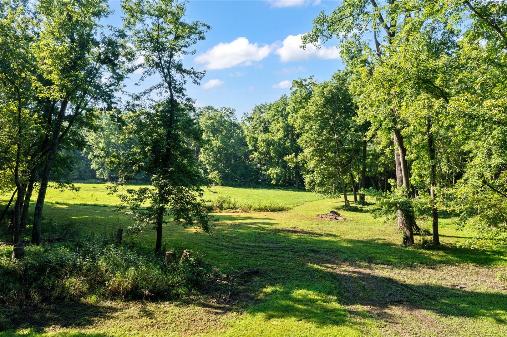 Property photo 47