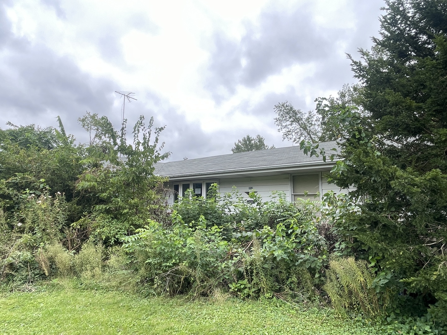 Property photo 5