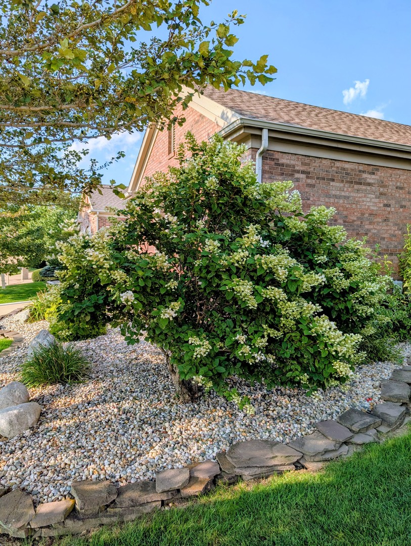 Property photo 17