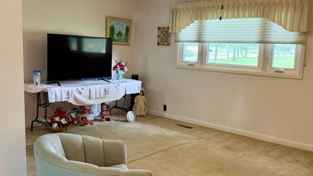 Property photo 43