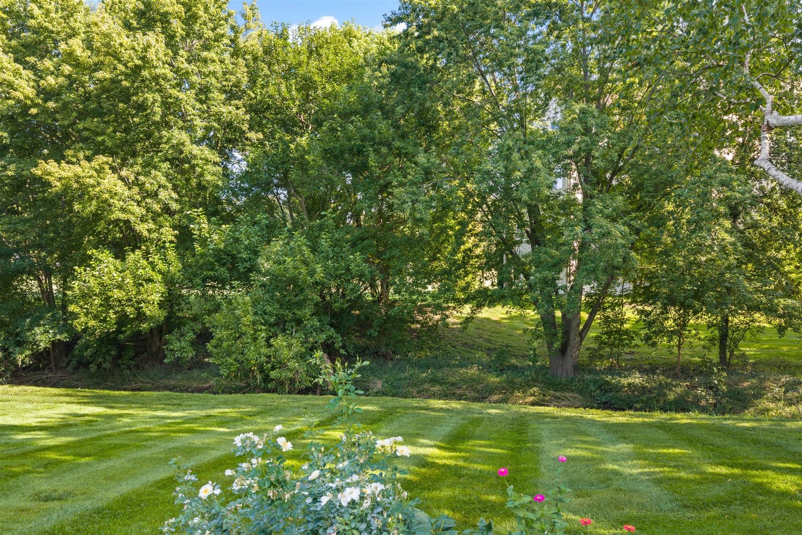 Property photo 44