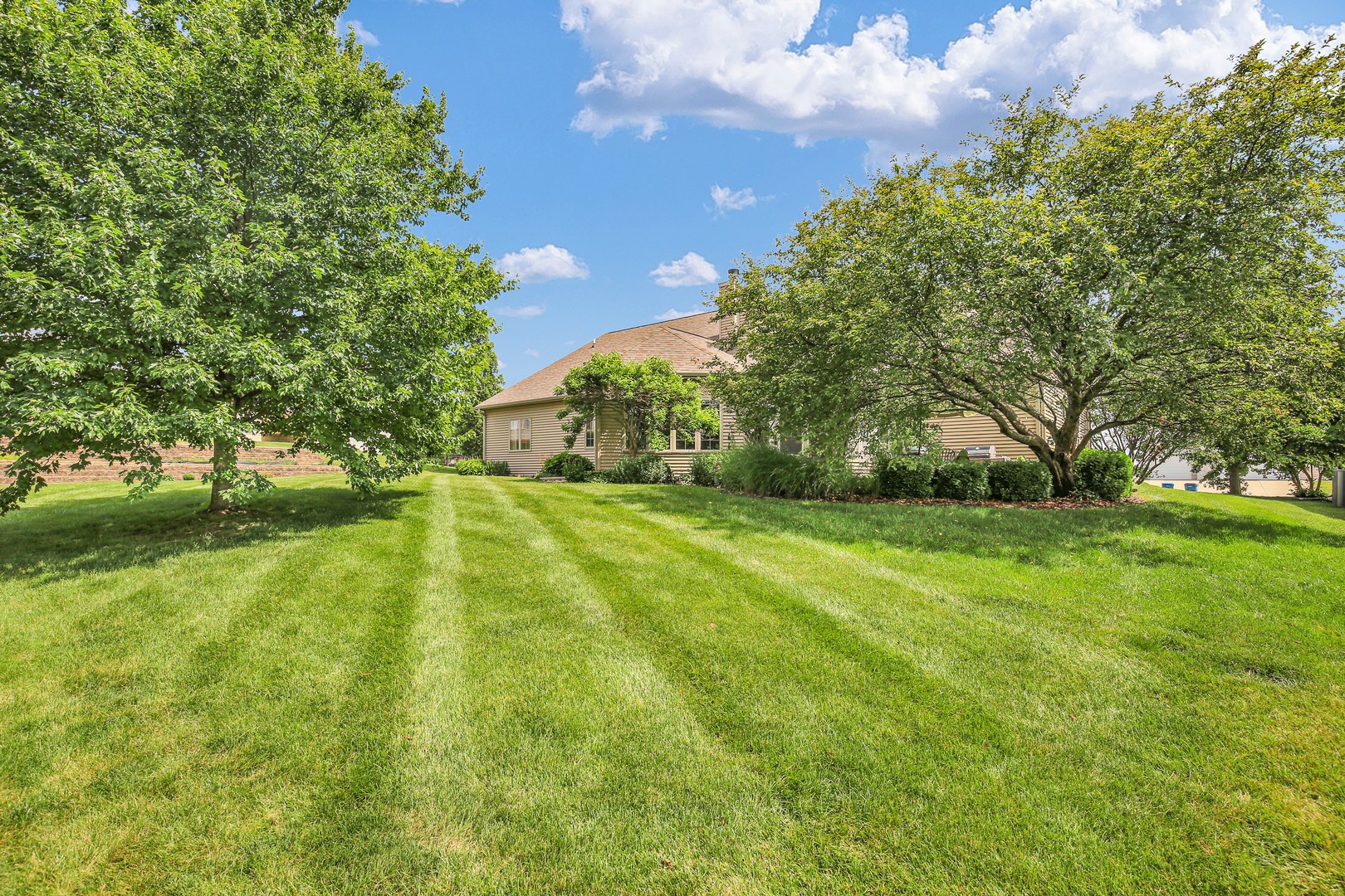 Property photo 39