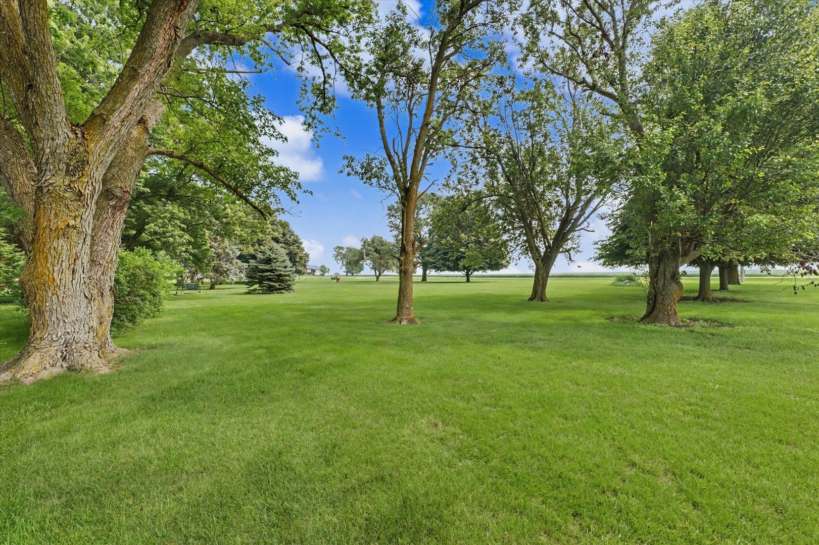 Property photo 42