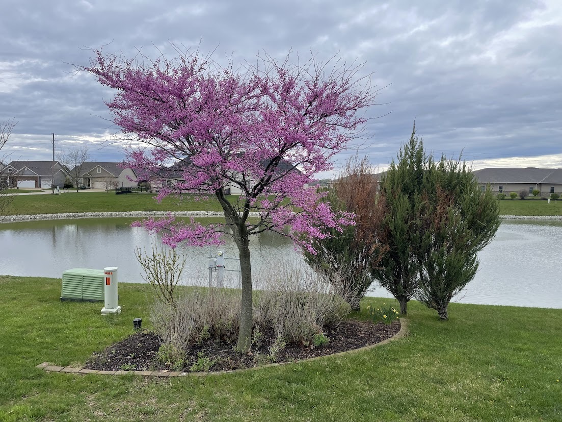 Property photo 49