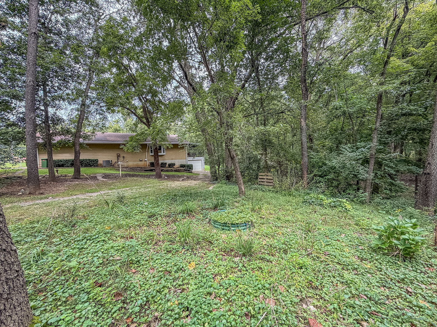 Property photo 51