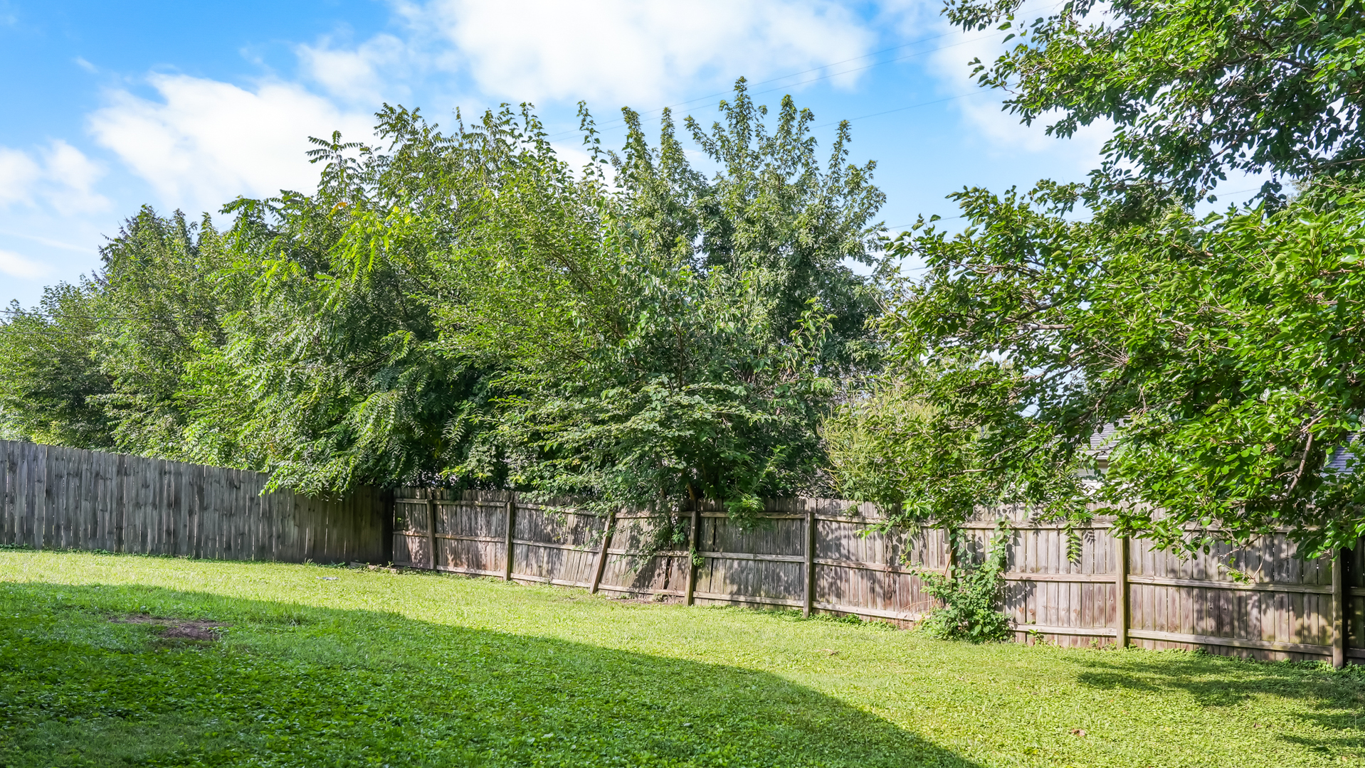 Property photo 31