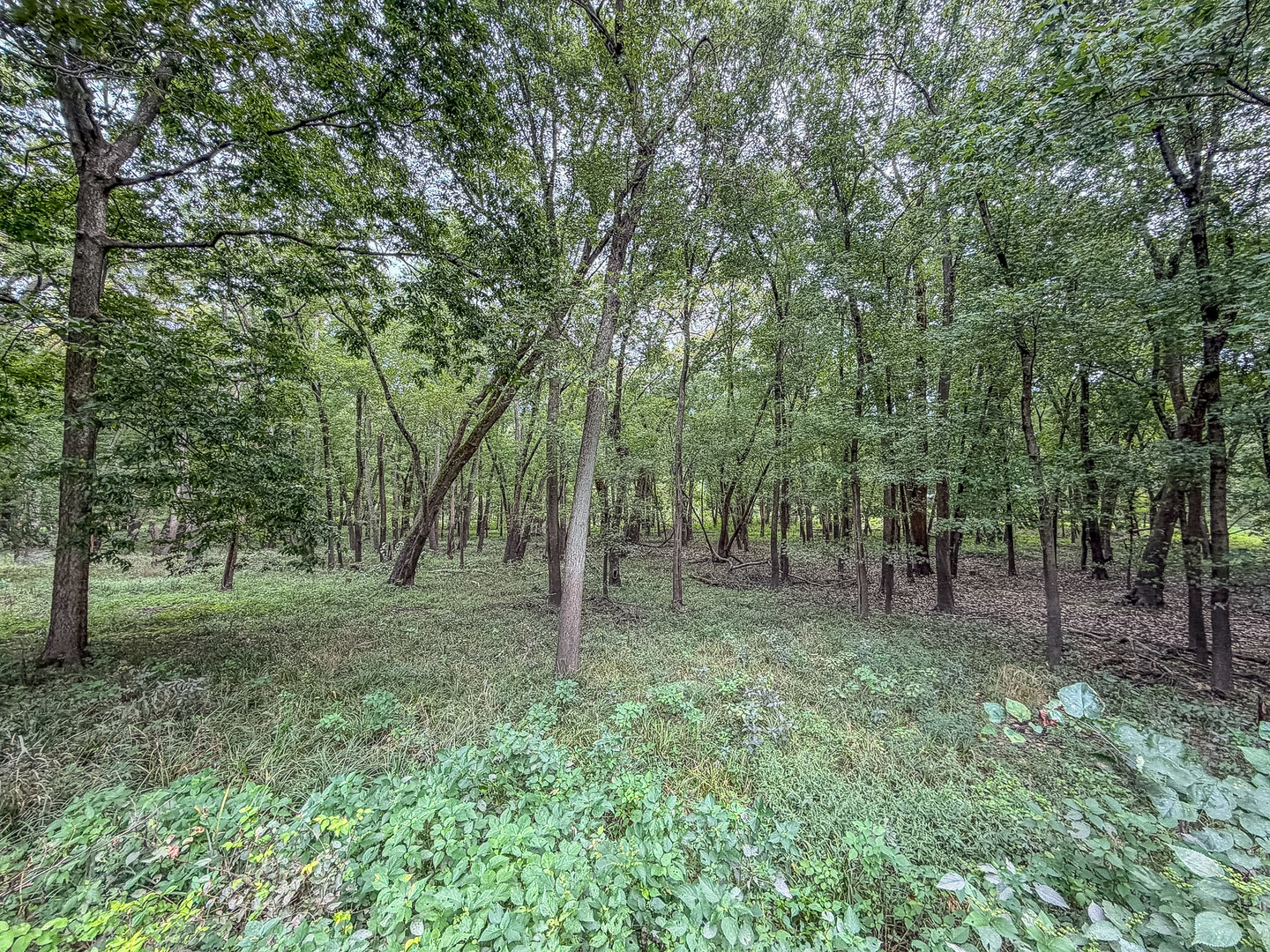 Property photo 54