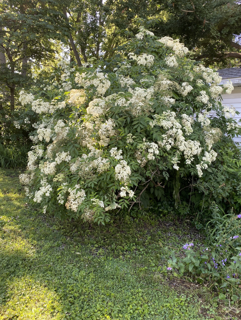 Property photo 37