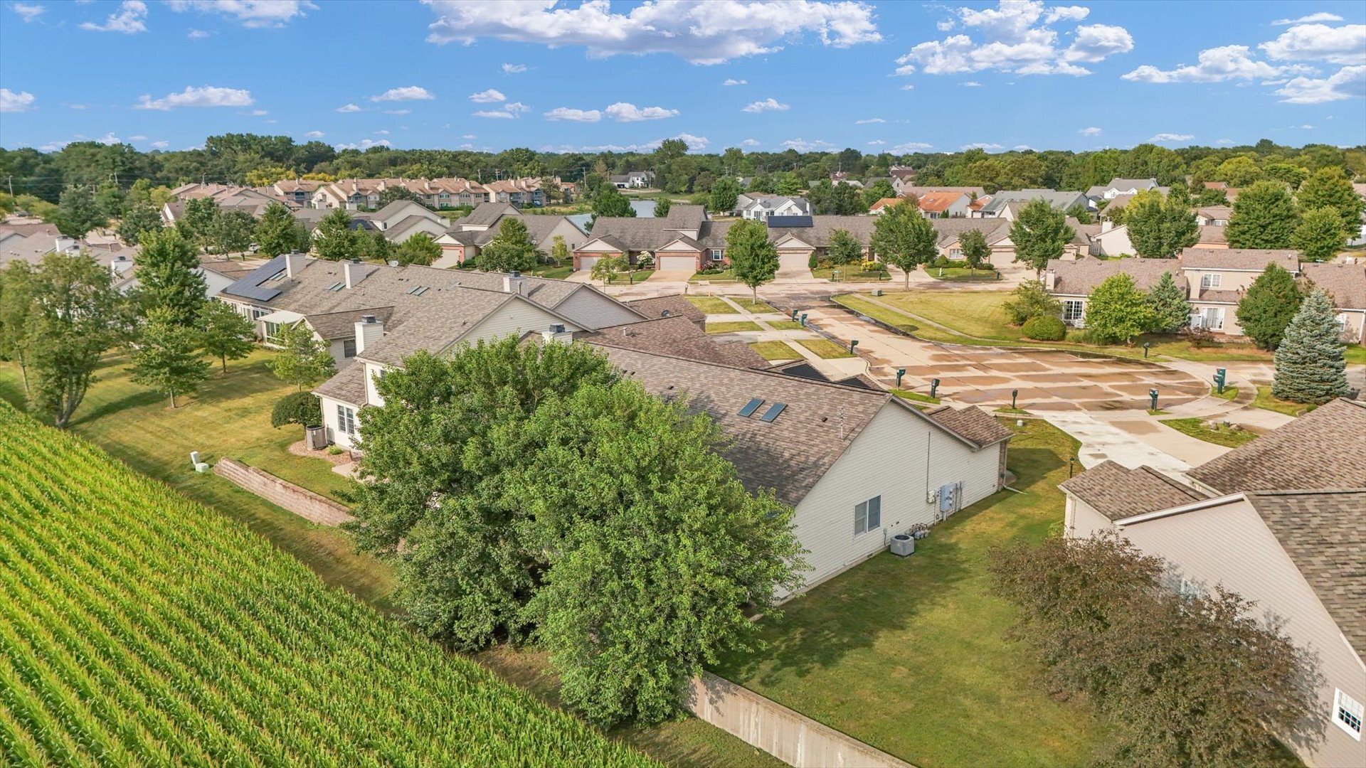 Property photo 44