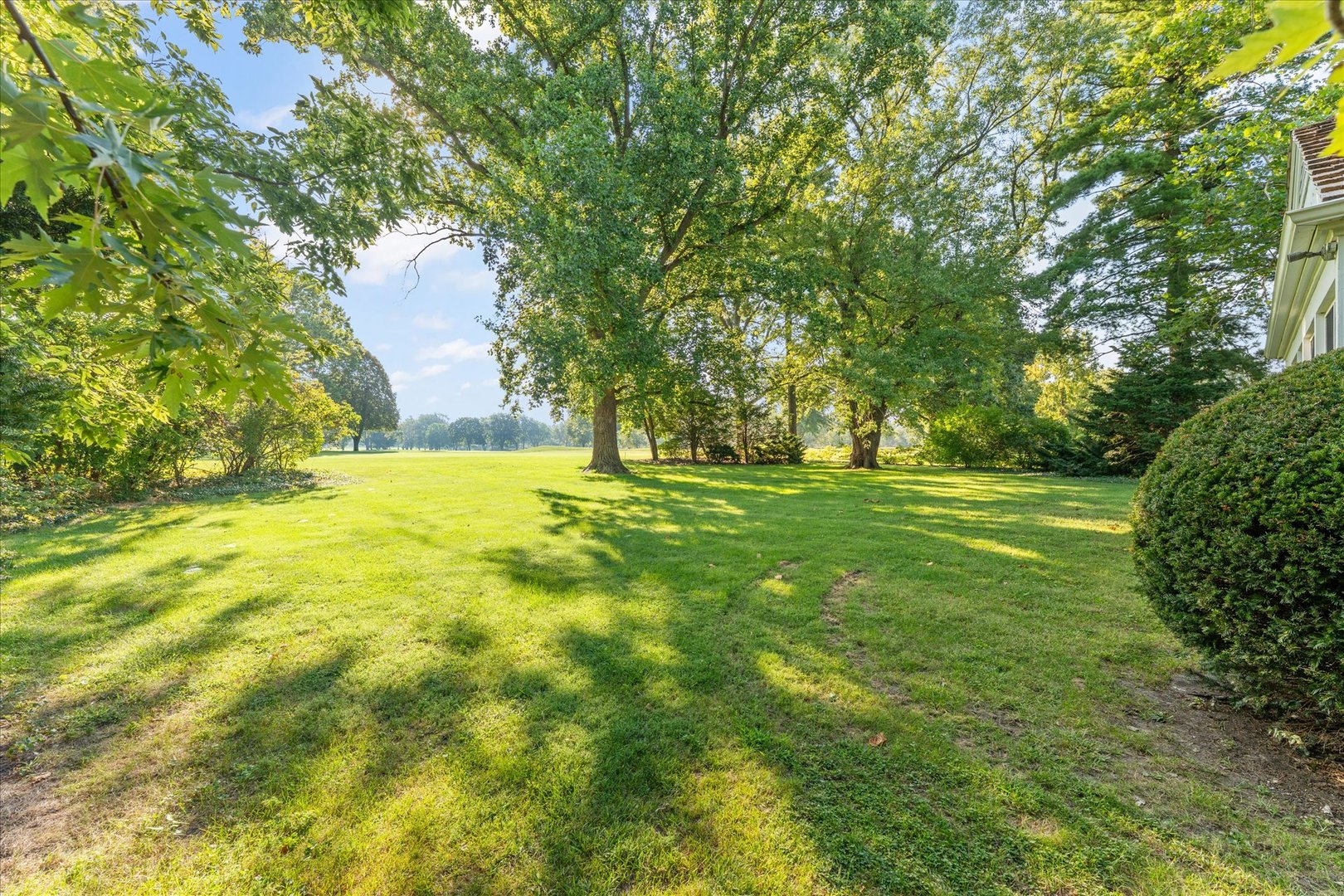 Property photo 46