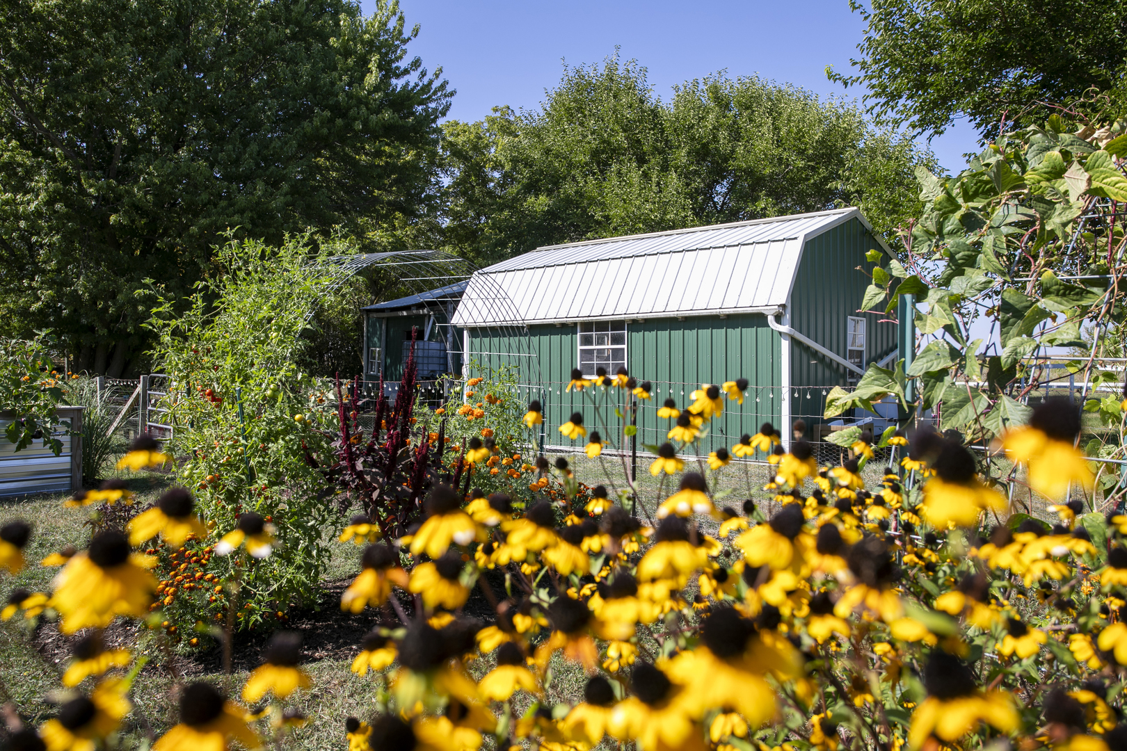 Property photo 28