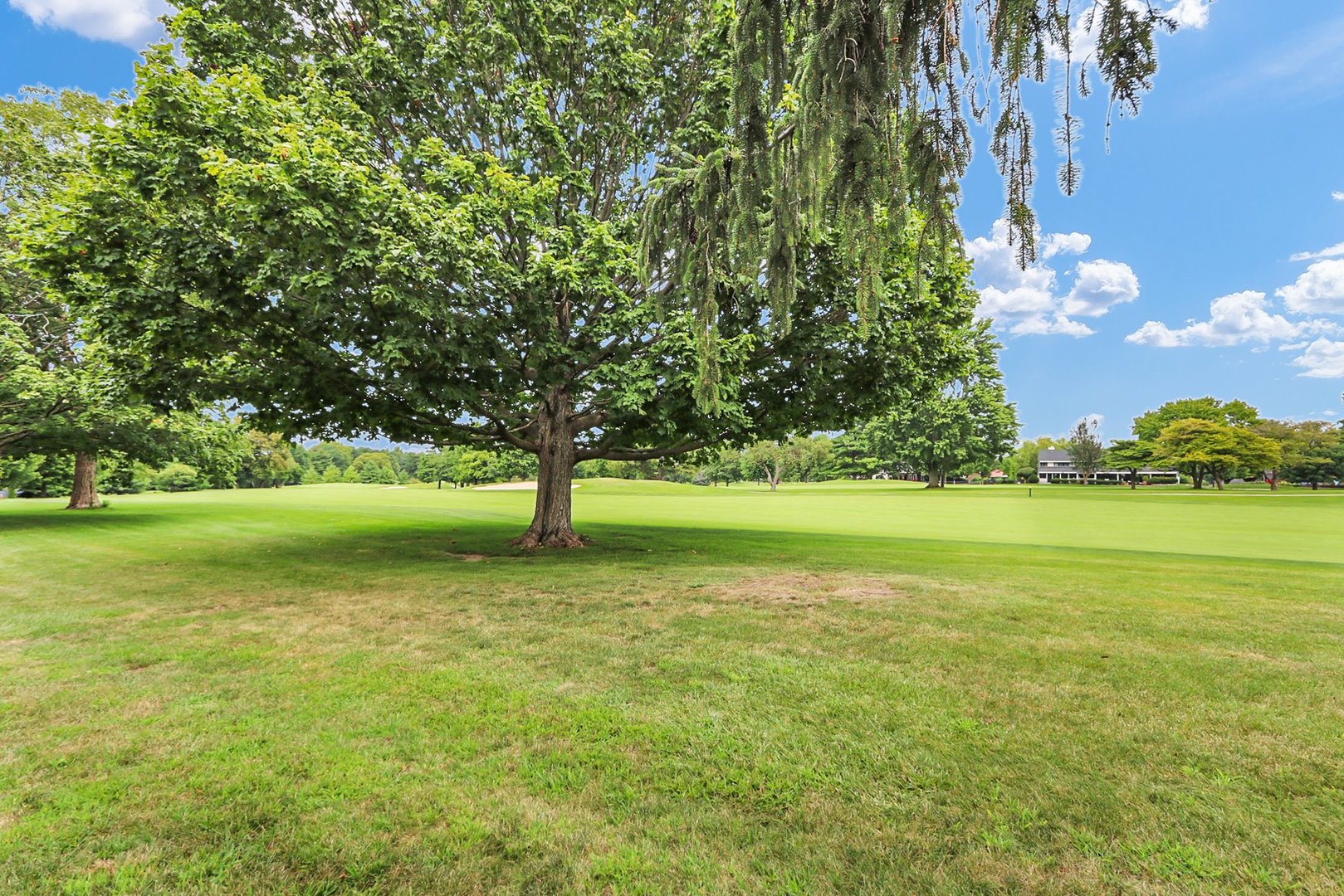 Property photo 44