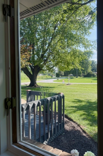 Property photo 124