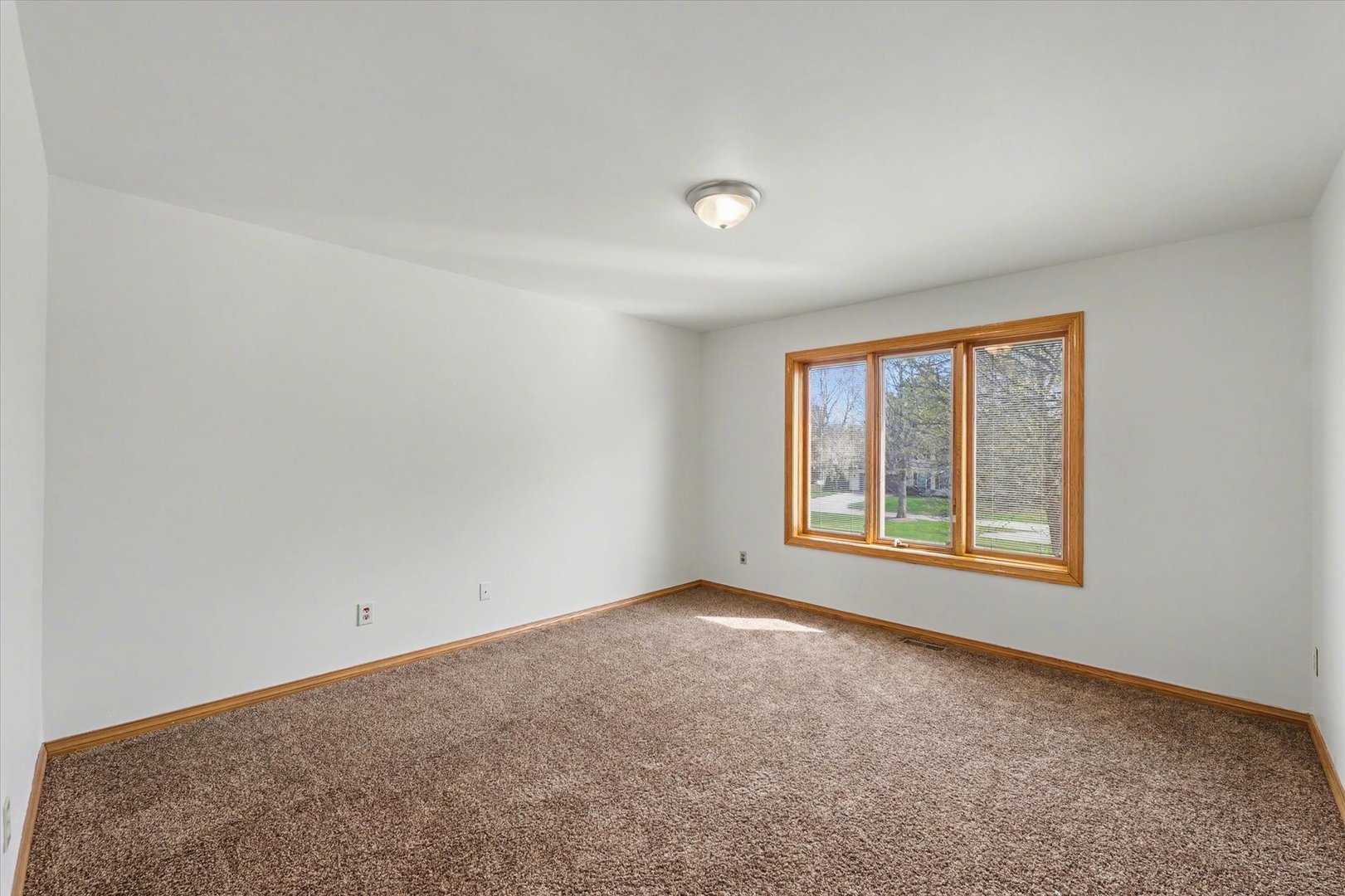 Property photo 54