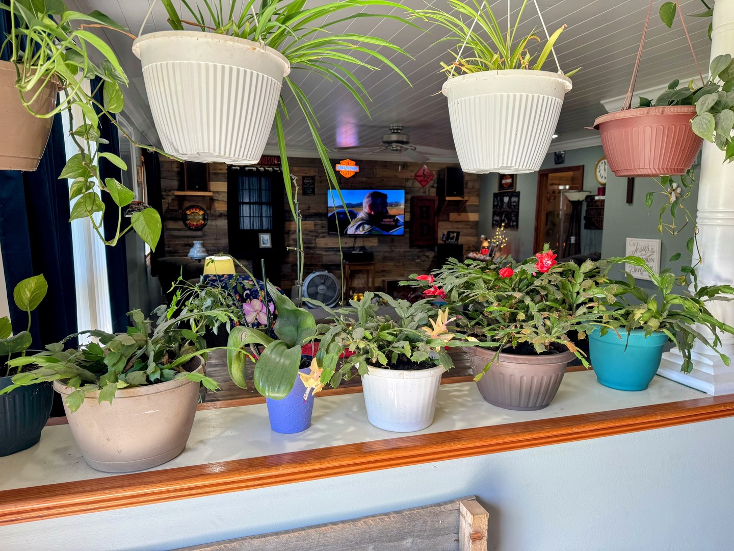 Property photo 20