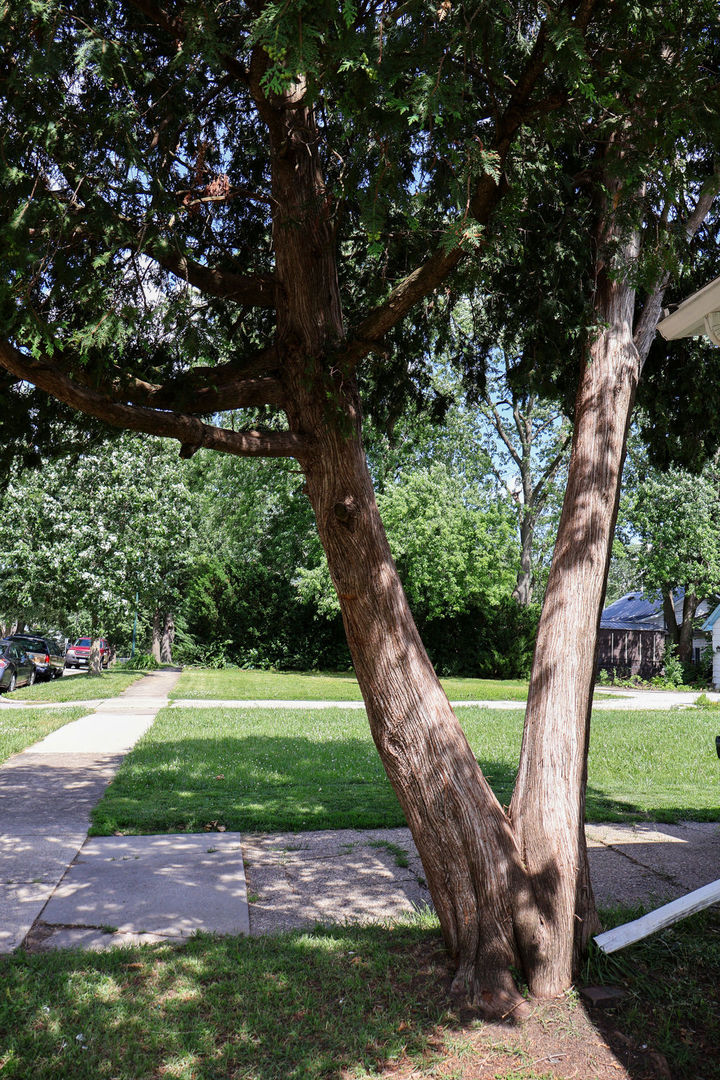 Property photo 43