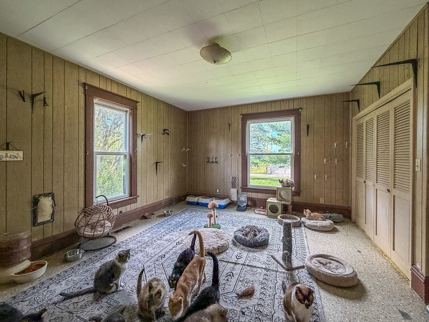 Property photo 17