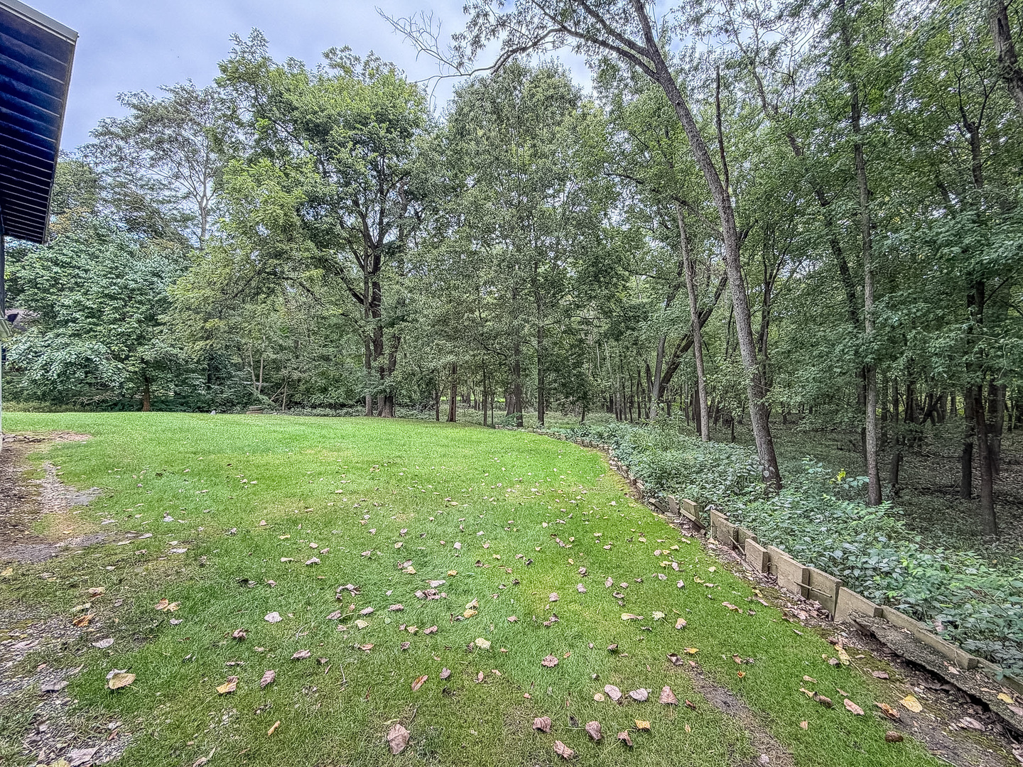 Property photo 53