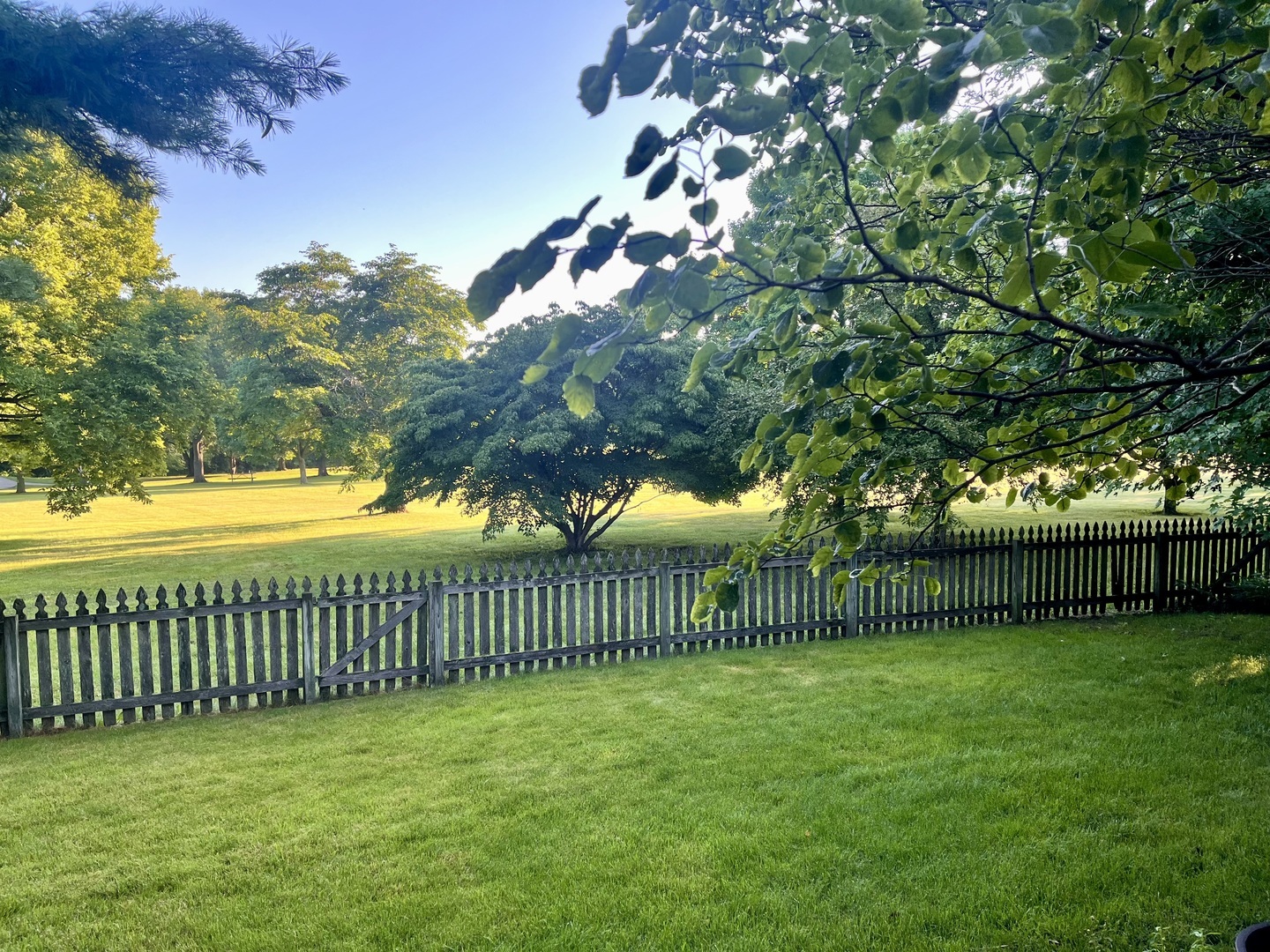 Property photo 56