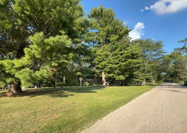 Property photo 104