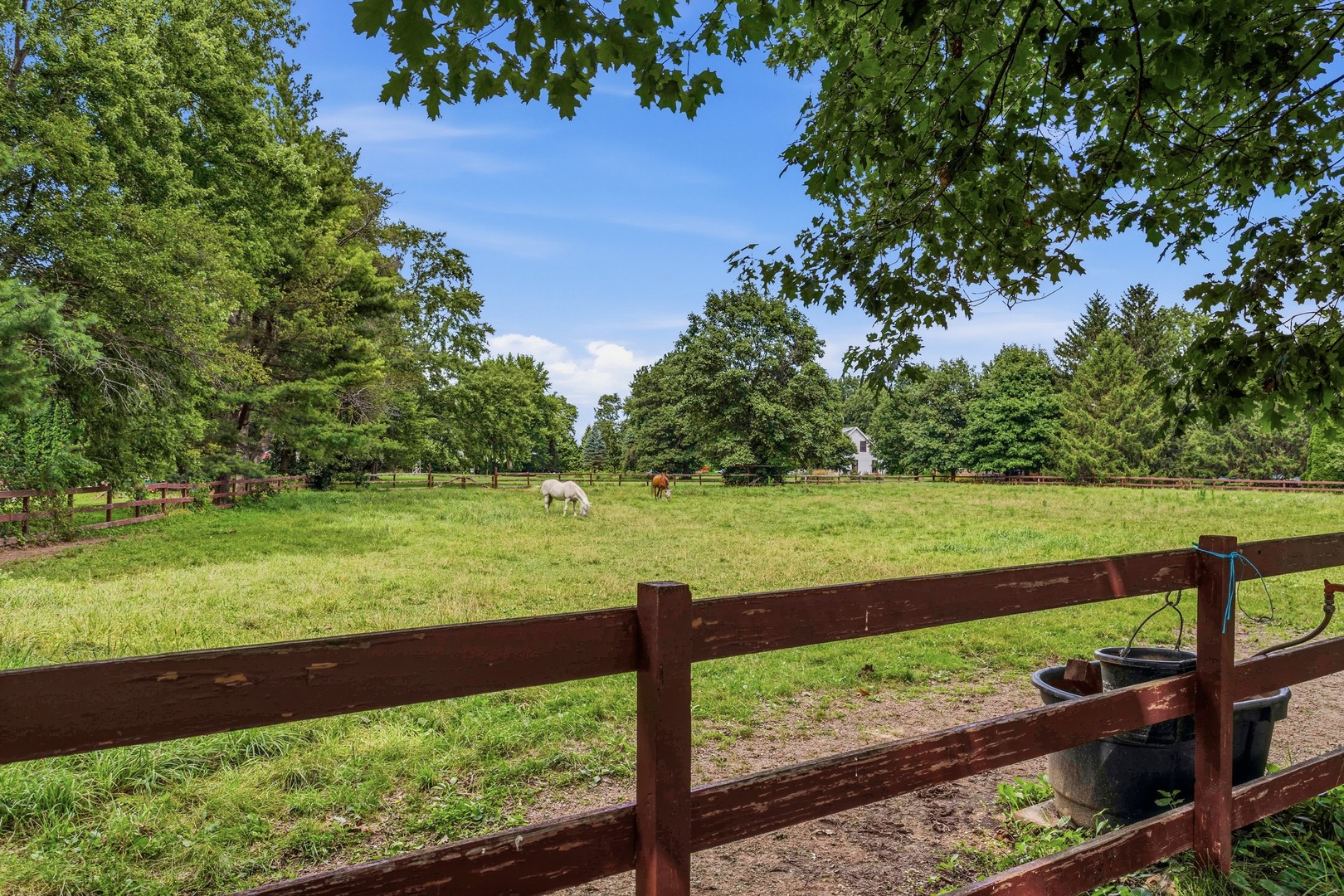 Property photo 34