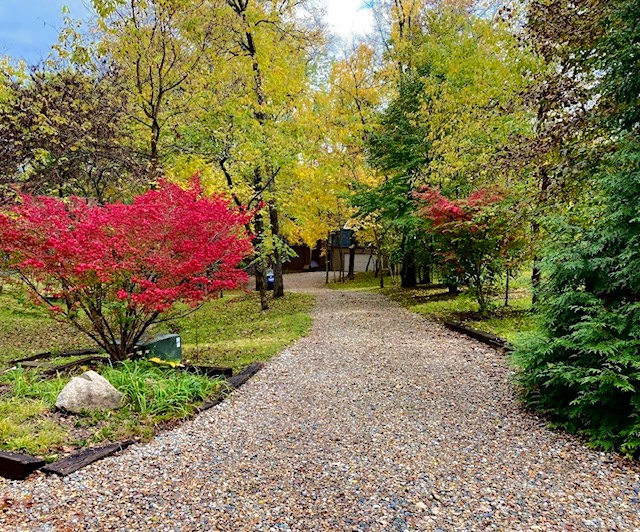 Property photo 155