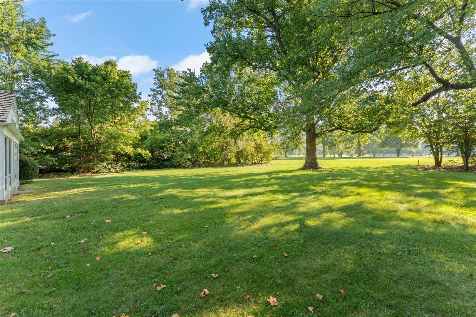 Property photo 48