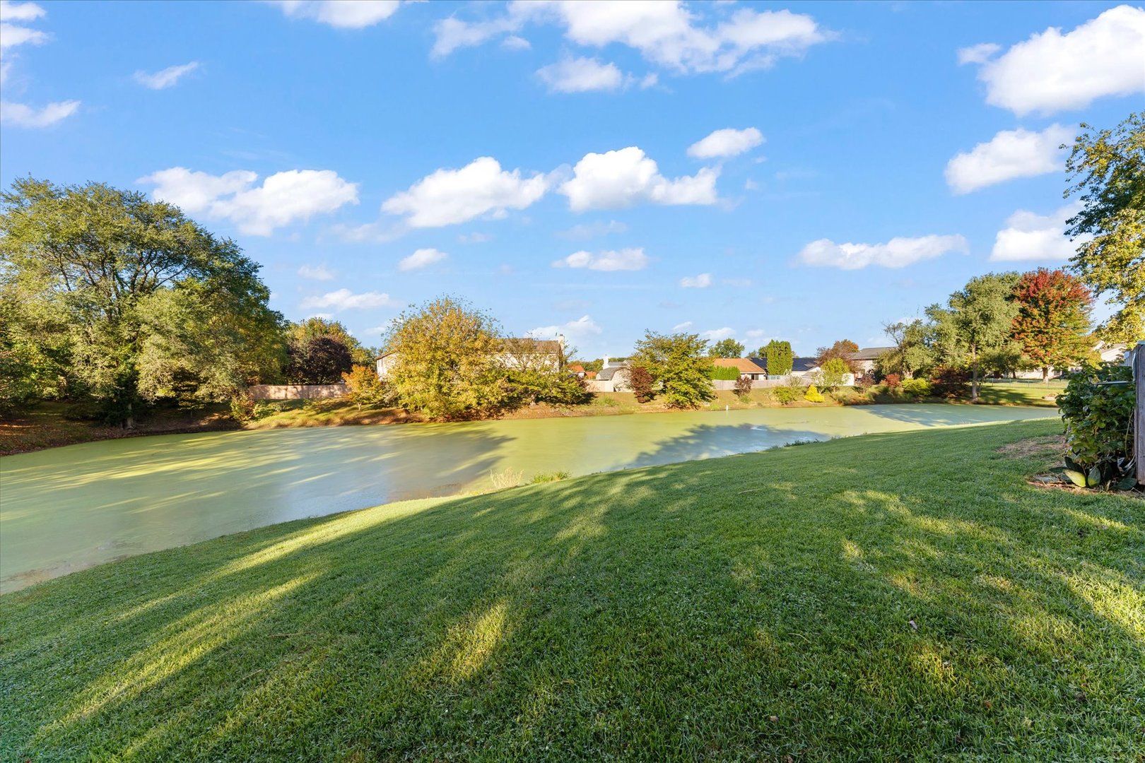 Property photo 44