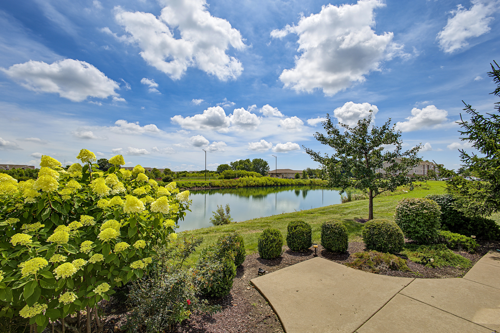 Property photo 40