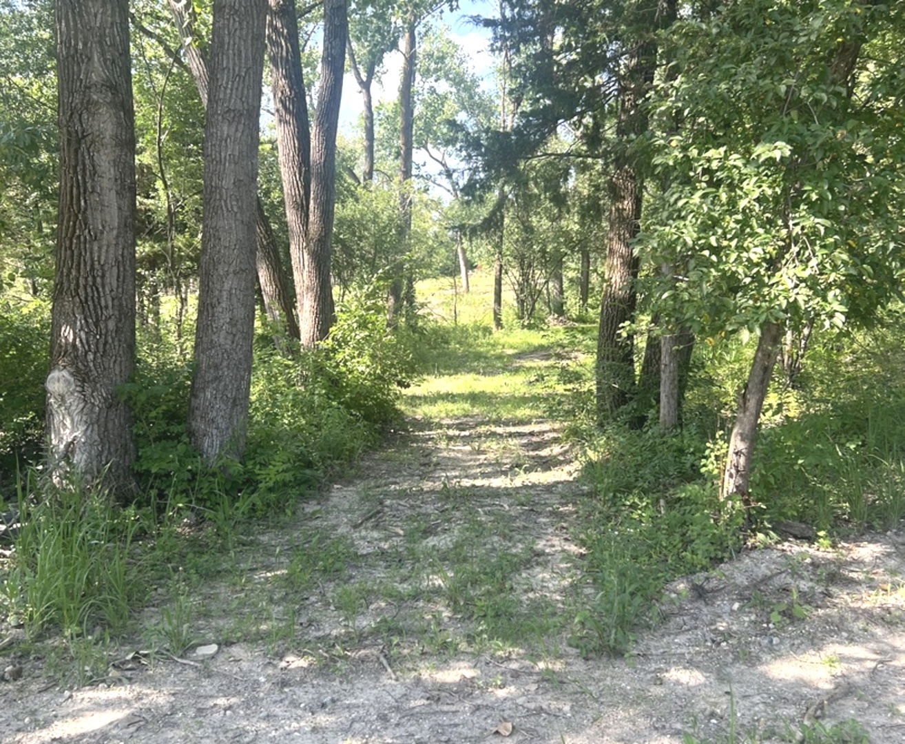 Property photo 47